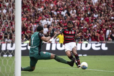 Rio de Janeiro, Rio de Janeiro, Brezilya - 08 Aralık 2024. Brezilya Şampiyonası için Flamengo x Vitoria.                        