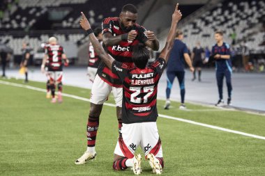 Rio de Janeiro, Rio de Janeiro, Brezilya - 01 Mart 2025. Vasco x Flamengo Nilton Santos Stadyumu 'nda, Carioca Şampiyonası yarı finalinde..                 