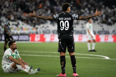 Rio de Janeiro (RJ), 05 / 04 / 2025 - BOTAFOGO X JUVENTUDE - Brezilya Şampiyonası Botafogo x Juventude ile Nilton Santos arasındaki maç.                     