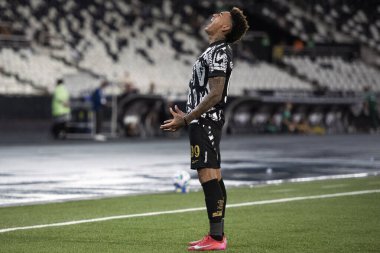 Rio de Janeiro (RJ), 05 / 04 / 2025 - BOTAFOGO X JUVENTUDE - Brezilya Şampiyonası Botafogo x Juventude ile Nilton Santos arasındaki maç.                     