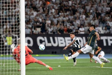 Rio de Janeiro, Rio de Janeiro, Brezilya - 08 Nisan 2025. Libertadores için Nilton Santos Stadyumu 'nda Botafogo x Carabobo (VEN).                        