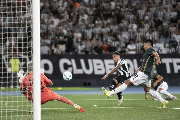 Rio de Janeiro, Rio de Janeiro, Brezilya - 08 Nisan 2025. Libertadores için Nilton Santos Stadyumu 'nda Botafogo x Carabobo (VEN).                        