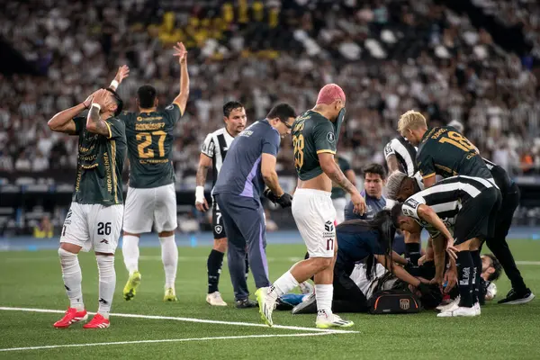 Rio de Janeiro, Rio de Janeiro, Brezilya - 08 Nisan 2025. Libertadores için Nilton Santos Stadyumu 'nda Botafogo x Carabobo (VEN).                        