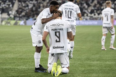 Rio de Janeiro (RJ), 04/06/2025 - BOTAFOGO X CEARA. Botafogo x Ceara ile Nilton Santos 'taki Brezilya Şampiyonası' nın 10. raundu arasındaki maç..                        