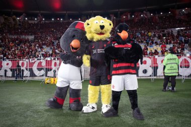 Rio de Janeiro, Rio de Janeiro, Brezilya - 20 Temmuz 2025. Flamengo x Fluminense Maracana Stadyumu.                           