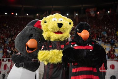 Rio de Janeiro, Rio de Janeiro, Brezilya - 20 Temmuz 2025. Flamengo x Fluminense Maracana Stadyumu.                           