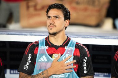 Rio de Janeiro, Rio de Janeiro, Brezilya - 20 Temmuz 2025. Flamengo x Fluminense Maracana Stadyumu.                           