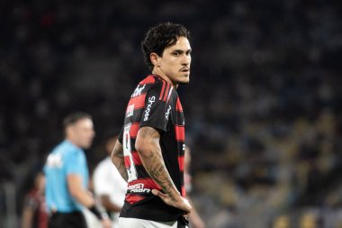 Rio de Janeiro, Rio de Janeiro, Brezilya - 20 Temmuz 2025. Flamengo x Fluminense Maracana Stadyumu.                           