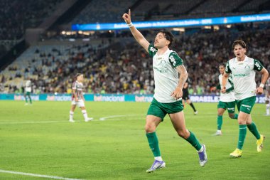 Rio de Janeiro, Rio de Janeiro, Brezilya - 23 Temmuz 2025. Fluminense x Palmeiras Maracana Stadyumu.                        