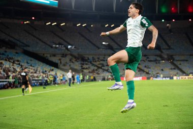 Rio de Janeiro, Rio de Janeiro, Brezilya - 23 Temmuz 2025. Fluminense x Palmeiras Maracana Stadyumu.                        