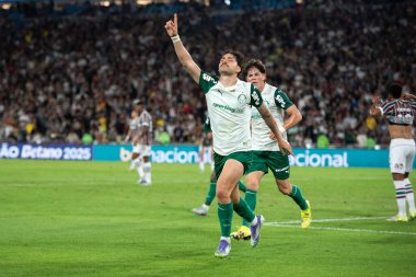 Rio de Janeiro, Rio de Janeiro, Brezilya - 23 Temmuz 2025. Fluminense x Palmeiras Maracana Stadyumu.                        