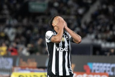 Rio de Janeiro, Rio de Janeiro, Brezilya - 29 Temmuz 2025. Botafogo x Red Bull Bragantino Nilton Santos stadyumunda.                  