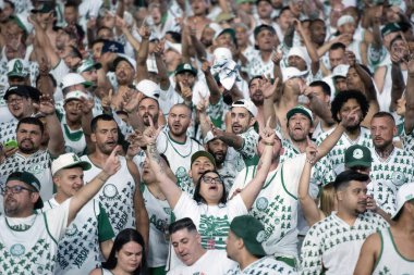 Rio de Janeiro (RJ), 17 / 08 / 2025 - BOTAFOGO X PALMEIRAS - Botafogo Palmeiras maçı Brezilya Şampiyonası için Nilton Santos Stadyumu 'nda.                     