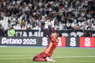 Rio de Janeiro (RJ), 17 / 08 / 2025 - BOTAFOGO X PALMEIRAS - Botafogo Palmeiras maçı Brezilya Şampiyonası için Nilton Santos Stadyumu 'nda.                     