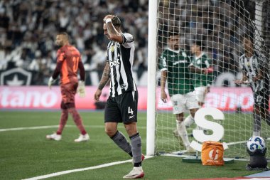 Rio de Janeiro (RJ), 17 / 08 / 2025 - BOTAFOGO X PALMEIRAS - Botafogo Palmeiras maçı Brezilya Şampiyonası için Nilton Santos Stadyumu 'nda.                     