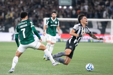 Rio de Janeiro (RJ), 17 / 08 / 2025 - BOTAFOGO X PALMEIRAS - Botafogo Palmeiras maçı Brezilya Şampiyonası için Nilton Santos Stadyumu 'nda.                     