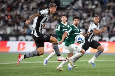 Rio de Janeiro (RJ), 17 / 08 / 2025 - BOTAFOGO X PALMEIRAS - Botafogo Palmeiras maçı Brezilya Şampiyonası için Nilton Santos Stadyumu 'nda.                     