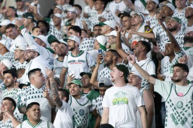 Rio de Janeiro (RJ), 17 / 08 / 2025 - BOTAFOGO X PALMEIRAS - Botafogo Palmeiras maçı Brezilya Şampiyonası için Nilton Santos Stadyumu 'nda.                     