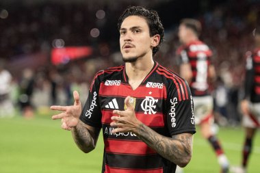 Rio de Janeiro, Rio de Janeiro, Brezilya - 25 Ağustos 2025. Maracana Stadyumunda Flamengo x Vitoria.                        