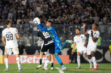 Rio de Janeiro (RJ), 27 / 08 / 2025 - VASCO X BOTAFOGO - Vasco vs. Botafogo, Copa do Brasil çeyrek finali Sao Janurio.                    
