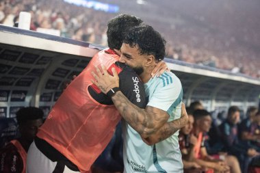 Rio de Janeiro, Rio de Janeiro, Brezilya - 02 Ekim 2025: Flamengo x Cruzeiro Maracana Stadyumu.                  