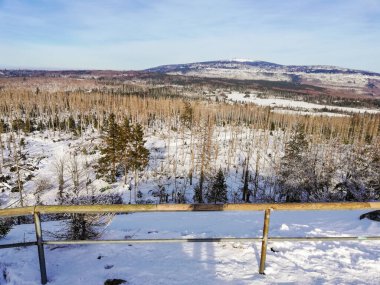 Harz Dağları, Almanya 'da kış manzarası. Achtermann 'dan Görünüm