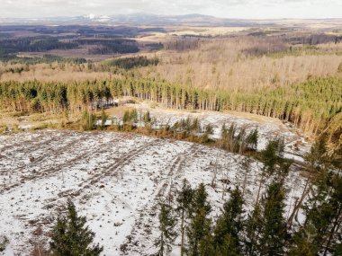 Harz Dağları, Almanya 'da kış manzarası