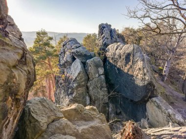 Şeytanın Duvarı 'nın bir parçası (Teufelsmauer), Almanya' nın Harz Dağları 'nda kumtaşından yapılmış bir kaya oluşumu.