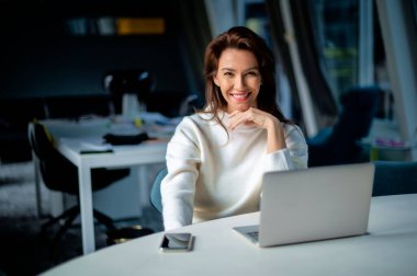 Orta yaşlı iş kadını ofiste masa başında otururken dizüstü bilgisayar kullanıyor. Yönetici iş kadını süveter giyiyor.. 