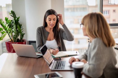 Bir grup iş arkadaşı masanın etrafında oturuyor ve iş toplantısı yapıyorlar. Orta yaşlı iş adamları dizüstü bilgisayar kullanıyor ve tartışıyorlardı. Takım çalışması.. 