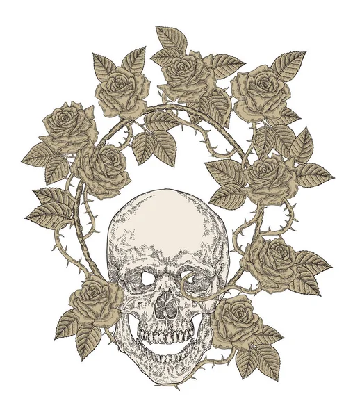 Gül Çiçekli Insan Kafatası Tişört Grafik Tasarımı Vektör Illüstrasyon Klasiği — Stok Vektör