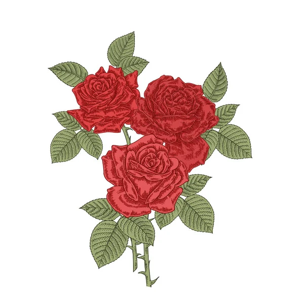赤いバラの花 白い背景に隔離された3つのバラの花束 彫刻されたベクトルイラスト — ストックベクタ