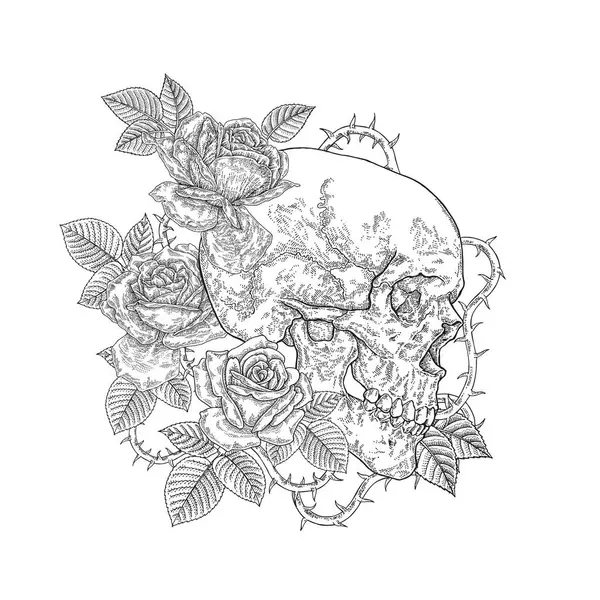 Crânio Humano Com Flores Rosas Ilustração Vetorial Gravura Vintage Gráfico — Vetor de Stock