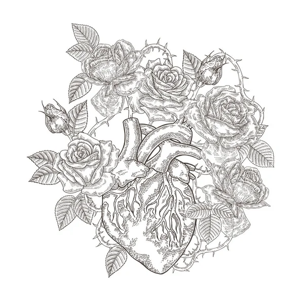 バラの花を持つ人間の心臓 ベクトルイラスト手描き ロマンチックなカードやTシャツのデザイン ヴィンテージ彫刻 — ストックベクタ