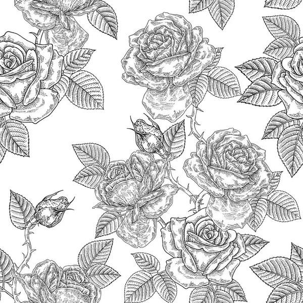 Seamless Pattern Rose Flowers Black White Roses Vector Illustration — Stock Vector