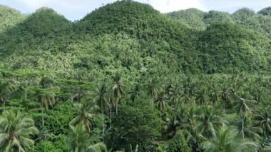 Mindanao, Surigao del Norte 'deki yemyeşil yağmur ormanları ve dağ manzarası üzerinde nefes kesen bir insansız hava aracı deneyimi. Dokunulmamış ekosistemleri, canlı yeşil yaşam alanlarını ve Güney Filipinler 'deki el değmemiş doğal güzellikleri keşfedin..
