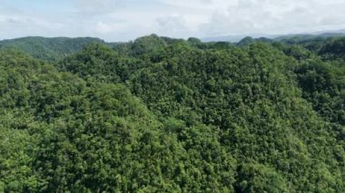 Bad-As Placer, Surigao del Norte, Mindanao 'da çekilen geniş panoramik hava görüntüleri, bereketli dağ ormanları, canlı ekosistemler ve güneşli gökyüzü altında el değmemiş doğa görüntülerini sergiliyor..