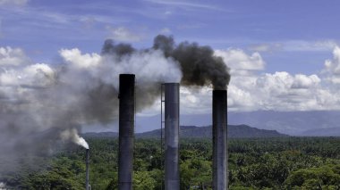 Ağır Endüstriyel Emisyonlar Butuan Ormanlarının Üzerinde Yükseliyor, Mindanao