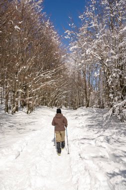 Parco Naturale del Frignano, Pievepelago (MO): direzione del Lago Santo Modenese a metri 1501 sul livello del mare.