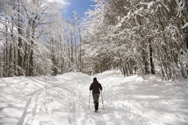 Parco Naturale del Frignano, Pievepelago (MO): direzione del Lago Baccio a metri 1550 sul livello del mare.