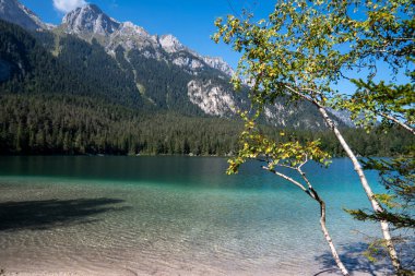 Il lago di Tovel un lago alpino situation ato nella val di Tovel, sul territorio del comune di Ville d 'Anaunia in Val di Non, a ununtitudine di 1177 m. Her şey yolunda, del Parco Naturale Adamello-Brenta.