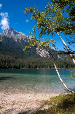 Il lago di Tovel un lago alpino situation ato nella val di Tovel, sul territorio del comune di Ville d 'Anaunia in Val di Non, a ununtitudine di 1177 m. Her şey yolunda, del Parco Naturale Adamello-Brenta.