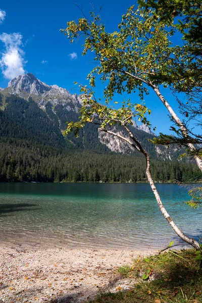 Il lago di Tovel un lago alpino situation ato nella val di Tovel, sul territorio del comune di Ville d 'Anaunia in Val di Non, a ununtitudine di 1177 m. Her şey yolunda, del Parco Naturale Adamello-Brenta.
