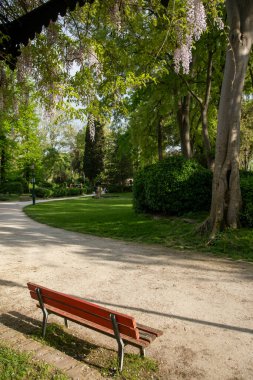 Venedik, İtalya: Bienale Bahçeleri tarihi merkezin en büyük yeşil bölgesini oluşturmakta ve Venedik Uluslararası Sanat Sergisi 'ne ev sahipliği yapmaktadır.