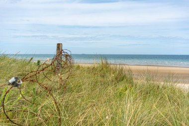 Utah Plajı, Fransa - 17 Haziran 2024: Utah plajı manzarası, 1944 'te çıkartmanın yapıldığı ünlü plajlardan biri.