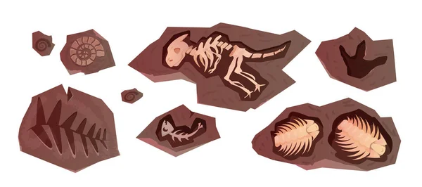 Cartoni Animati Fossili Archeologici Dinosauri Scheletri Rettili Animali Marini Piante — Vettoriale Stock