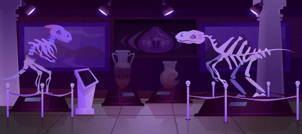 Museo Paleontología Nocturna Dibujos Animados Con Esqueleto Dinosaurio Artefactos Antiguos — Vector de stock