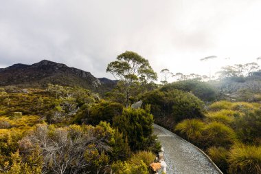 Cradle Mountain, Tazmanya, Avustralya 'da serin ve fırtınalı bir ilkbahar öğleden sonra, sahil yolu ve manzara.