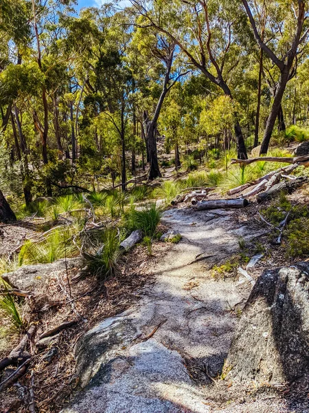 Binalong Bay Αυστραλια Σεπτεμβριου 2022 Bay Fires Trail Μέρος Του — Φωτογραφία Αρχείου