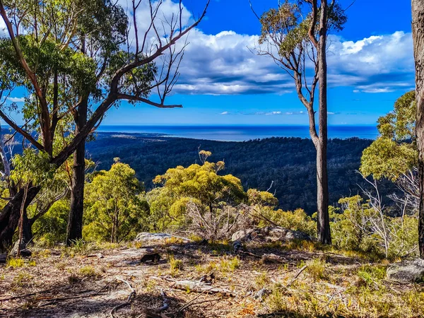 Binalong Bay Australia September 2022 Bay Fires Trail Part Blue — Stock Photo, Image